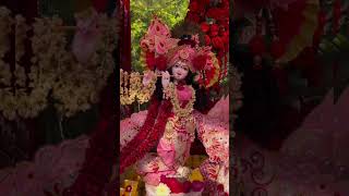 Shri Banke Bihari chinar leaf🍁🍁🌷🌷🩷krishnabhajan ytshortsvideo ytviral [upl. by Galasyn583]