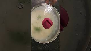 பஞ்சு போல Softஆ Rava Idli  Home made Rava idli  Rava Idli Recipe in Tamil [upl. by Asilram]