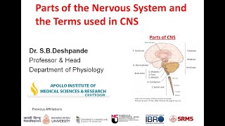 Parts of the Nervous System and the Terms used in CNS by SB Deshpande [upl. by Graig]