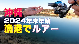 沖縄での短時間釣行 熱田漁港で「ルアー釣り」を楽しみました。レンジバイブ メテオーラ トトシャッドなどを使っています。 [upl. by Karie544]