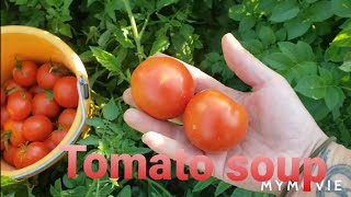 Homemade tomato soup [upl. by Iek591]