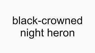 How to pronounce blackcrowned night heron [upl. by Inttirb421]