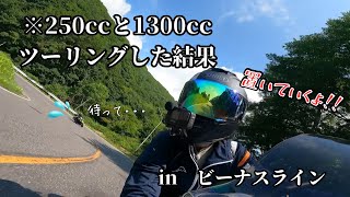 【バイク女子】隼と250ccのバイクがツーリングをするとこんな感じです【gsx1300r】 [upl. by Edee]