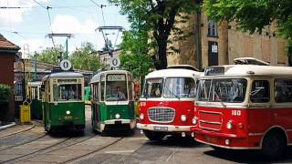 Tramwajem na Rataje  Małgorzata Borowska [upl. by Ojadnama]