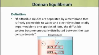 Donnan membrane equilibrium malayalam  easy definition and explanation  malayalam [upl. by Ahsem]