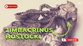 Fossil Finds Discovering the Jimbacrinus bostocki Crinoid [upl. by Odlonra]