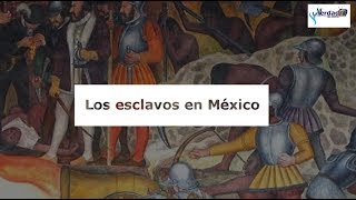 La Esclavitud en México  El Tumbaburros [upl. by Letnohc]