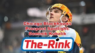 The Rinkcom Blackhawks Prospect Spotlight  Dominik Kubalik Highlights [upl. by Yesnik614]