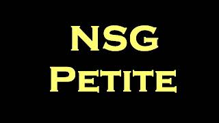 NSG  Petite Instrumental [upl. by Hambley284]