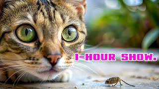 😺CATS Are About to Get HOOKED on This 1 Hour Laser blowfly ShowVIDEOS FOR CATS TO WATCH [upl. by Henleigh]