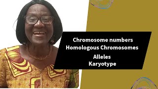 Chromosome Numbers Homologous Chromosomes Alleles [upl. by Udale823]