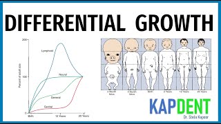 DIFFERENTIAL GROWTH  Cephalo caudal Gradient amp Scammons Growth Curve  Orthodontics KAPDENT [upl. by Ailel]