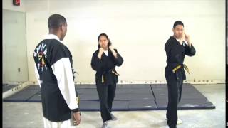 Front Snap Kick  Hapkido [upl. by Fontana]