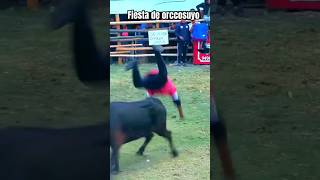 fiesta patronal de orccosuyo ayacucho toros sinfoniahuamanga banda costumbres [upl. by Woolson]