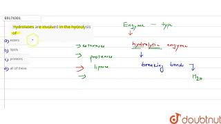 Hydrolases are involved in the hydrolysis of [upl. by Meggy86]