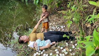 Harvesting eggs to sell at the market  taking care of children  Build a new life [upl. by Ahsiemat]