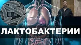 ПРОБИОТИКИ могут Вас убить ЛАКТОБАКТЕРИИ Пробиотики для кишечника Список Польза и вред Научно [upl. by Cantu336]