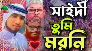 আল্লামা সাঈদী তুমি মরনি গজল  Allama Saidi Gojol  Qari Habibur Rahman Fahim  হাবিবুর রহমান ফাহিম [upl. by Reeher]