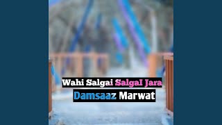 Wahi Salgai SalgaI Jara [upl. by Otrebile]