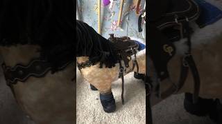 I GOT A WESTERN TACK SET crafty equestrian western lemieux horse minihorse jumping [upl. by Lemkul]