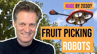 My prediction for Fruit Picking Robots  Agriculture Robots  Octinion Tevel Abundant Robotics [upl. by Emia814]