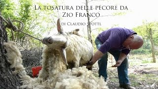 La tosatura delle pecore da zio Franco [upl. by Aramoj]