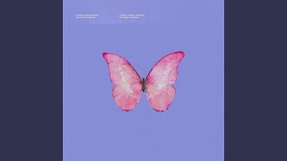 Butterflies [upl. by Bigot]