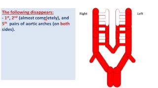 Embryology of the arteries  DrAhmed Farid [upl. by Nestor]