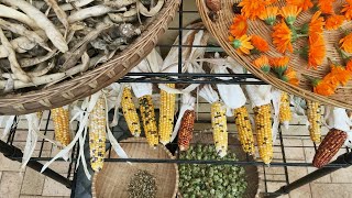 HOW TO Save Seeds amp Start Your Own Seed Bank  Milkwood  Permaculture Living [upl. by Codding]