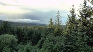 Kielder Forest walk and wild camp [upl. by Kaiulani142]