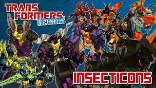 TRANSFORMERS THE BASICS on the INSECTICONS [upl. by Oinoitna]