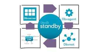 Dbvisit Standby Architecture [upl. by Nyrrad]