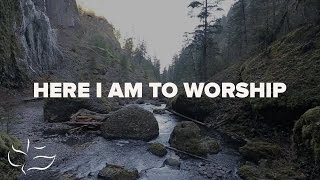 Here I Am To Worship  Maranatha Music Lyric Video [upl. by Tarr]