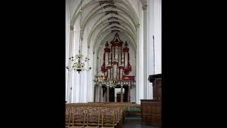 Bach quotO Mensch bewein dein Sünde grossquot BWV 622  Theo Teunissen [upl. by Rellia]