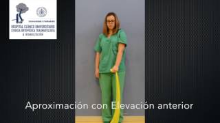 Video 15 Autofisioterapia fx hp fuerza con banda elástica [upl. by Annawek]