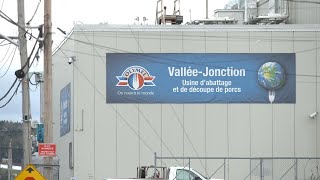 400 employés dOlymel de ValléeJonction recherche encore un emploi [upl. by Ahseat255]