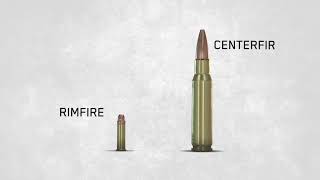 Ammo Basics Rimfire Versus Centerfire [upl. by Fae]