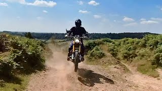 Triumph 1200 Scrambler vs Honda CRF250 Rally [upl. by Carlick]