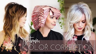 Platinum Blonde Color Correction  Brunette to White in one Appointment Full Technique [upl. by Winnah540]