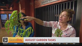 Plant Lady 10am Garden Tasks For August [upl. by Francoise]