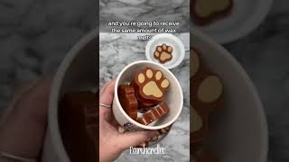 Dog paws wax melts [upl. by Iglesias]