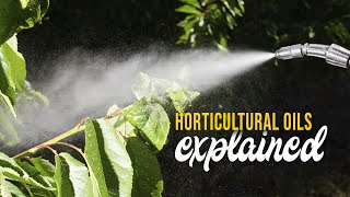 Horticultural Oils Explained [upl. by Alton434]