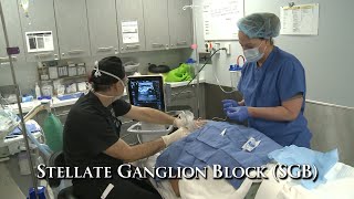 PTSD Treatments and Therapies  Stellate Ganglion Block [upl. by Rock]