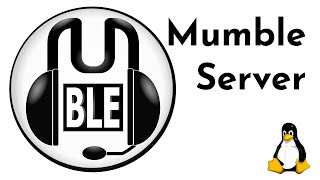 TUT Mumble Server installieren 4K  DE [upl. by Nilved]