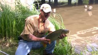 Tips on Carp Fishing from Shore Using Corn and the TTurn [upl. by Pelligrini368]