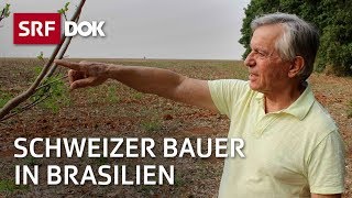 Schweizer Auswanderer in Brasilien – Suche nach einer besseren Zukunft  Reportage  SRF [upl. by Nauaj]