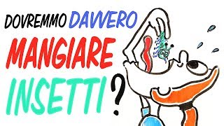 Mangiare gli INSETTI è il futuro La SCIENZA del CIBO [upl. by Andie]