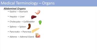 Medical Terminology  The Basics  Lesson 1 [upl. by Dareg]