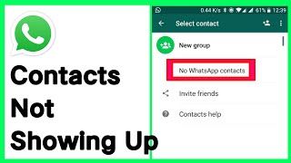 Whatsapp Contacts Not Showing Up  How To Fix No Contacts In Whatsapp [upl. by Donavon36]