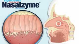 Neti Pots and Nasal irrigation simplified [upl. by Avie870]